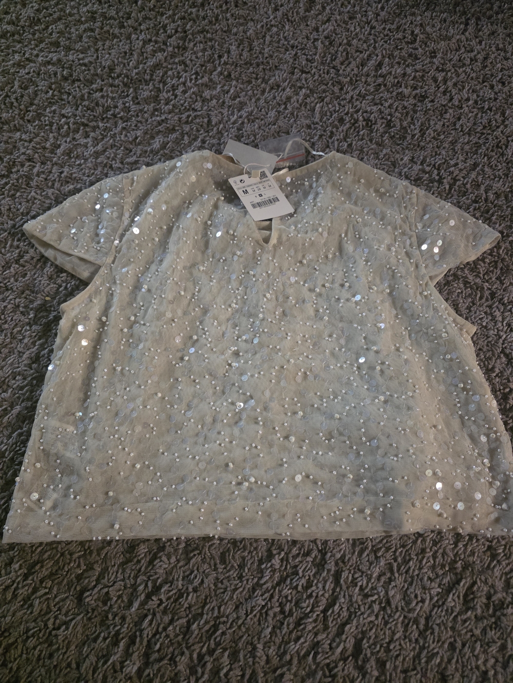 Zara Embellished Beaded Mesh Top in Light Beige - Picture 3 of 6